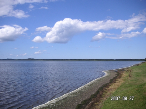 s_PICT0236.jpg